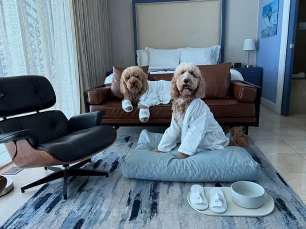 Z Ocean Hotel, Classico A Sonesta Collection Image