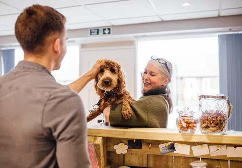 PET-FRIENDLY TRAVEL PERKS